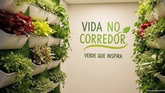 Plantas Verticais e Pequenos Vasos