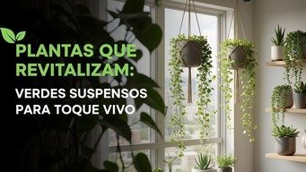 Plantas que Revitalizam – Verdes Suspensos para Toque Vivo