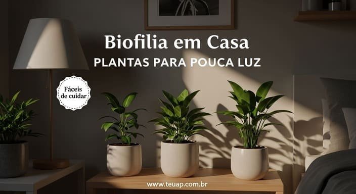Quais plantas são mais fáceis pra quem tem pouca luz?