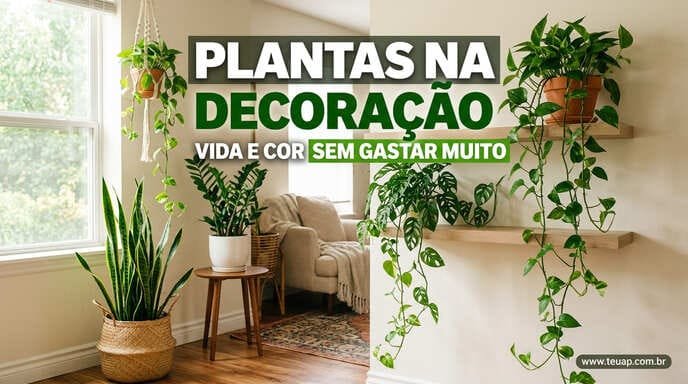 Plantas na Decoração: Vida e Cor sem Gastar Muito