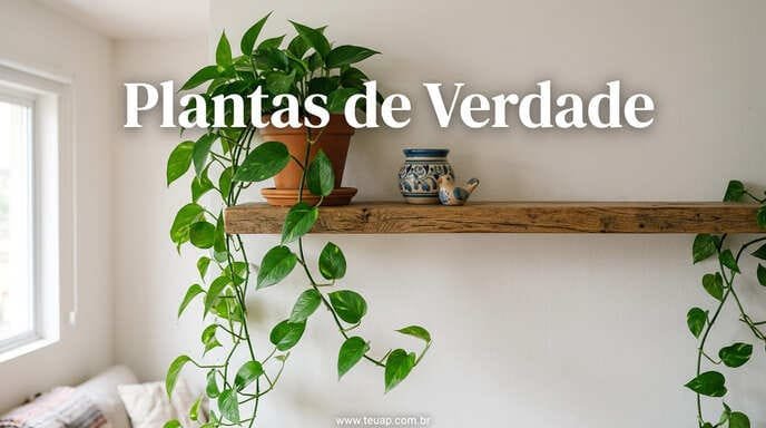 Plantas de Verdade