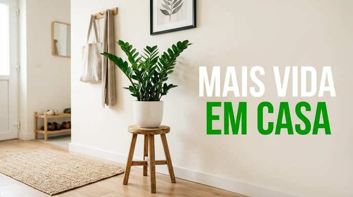 Plantas na Entrada