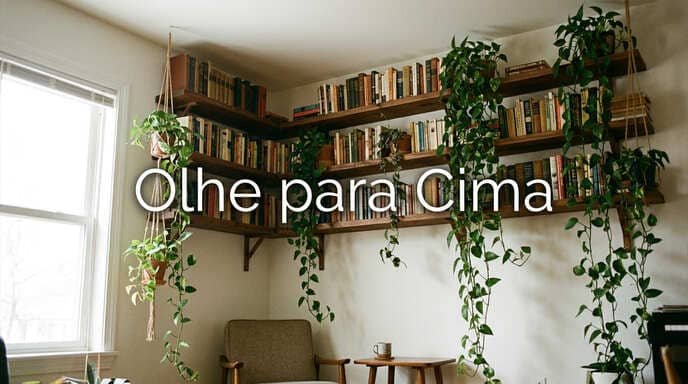 Olhe para Cima