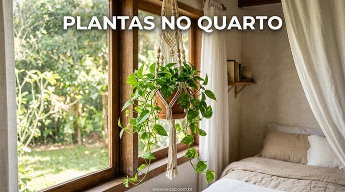 Plantas que Purificam e Aconchegam